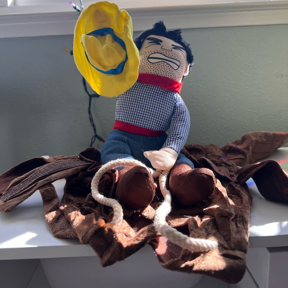 Medium Pet CowBoy Costume